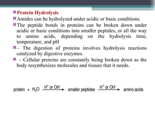 Protein Hydrolysis
Amides can be hydrolyzed under acidic or basic conditions.
The peptide bonds in proteins can be broken down under
acidic or basic conditions into smaller peptides, or all the way
to amino acids, depending on the hydrolysis time,
temperature, and pH
– The digestion of proteins involves hydrolysis reactions
catalyzed by digestive enzymes.
 – Cellular proteins are constantly being broken down as the
body resynthesizes molecules and tissues that it needs.
 