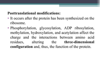 Posttranslational modifications:
• It occurs after the protein has been synthesized on the
ribosome.
• Phosphorylation, glycosylation, ADP ribosylation,
methylation, hydroxylation, and acetylation affect the
charge and the interactions between amino acid
residues, altering the three-dimensional
configuration and, thus, the function of the protein.
 