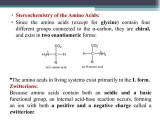 • Stereochemistry of the Amino Acids:
• Since the amino acids (except for glycine) contain four
different groups connected to the α-carbon, they are chiral,
and exist in two enantiomeric forms:
The amino acids in living systems exist primarily in the L form.
Zwitterions:
Because amino acids contain both an acidic and a basic
functional group, an internal acid-base reaction occurs, forming
an ion with both a positive and a negative charge called a
zwitterion:
 
