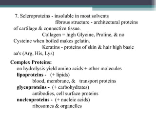 Complex Proteins:
on hydrolysis yield amino acids + other molecules
lipoproteins - (+ lipids)
blood, membrane, & transport proteins
glycoproteins - (+ carbohydrates)
antibodies, cell surface proteins
nucleoproteins - (+ nucleic acids)
ribosomes & organelles
7. Scleroproteins - insoluble in most solvents
fibrous structure - architectural proteins
of cartilage & connective tissue.
Collagen = high Glycine, Proline, & no
Cysteine when boiled makes gelatin.
Keratins - proteins of skin & hair high basic
aa's (Arg, His, Lys)
 