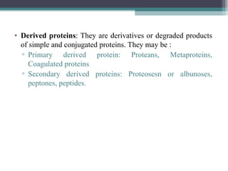 • Derived proteins: They are derivatives or degraded products
of simple and conjugated proteins. They may be :
▫ Primary derived protein: Proteans, Metaproteins,
Coagulated proteins
▫ Secondary derived proteins: Proteosesn or albunoses,
peptones, peptides.
 