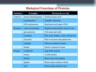 Biological Functions of Proteins
 