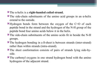 The α-helix is a right-handed coiled strand.
The side-chain substituents of the amino acid groups in an α-helix
extend to the outside.
Hydrogen bonds form between the oxygen of the C=O of each
peptide bond in the strand and the hydrogen of the N-H group of the
peptide bond four amino acids below it in the helix.
The side-chain substituents of the amino acids fit in beside the N-H
groups.
The hydrogen bonding in a ß-sheet is between strands (inter-strand)
rather than within strands (intra-strand).
The sheet conformation consists of pairs of strands lying side-by-
side.
The carbonyl oxygens in one strand hydrogen bond with the amino
hydrogens of the adjacent strand.
 