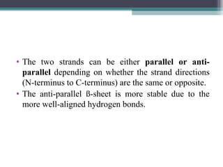 • The two strands can be either parallel or anti-
parallel depending on whether the strand directions
(N-terminus to C-terminus) are the same or opposite.
• The anti-parallel ß-sheet is more stable due to the
more well-aligned hydrogen bonds.
 
