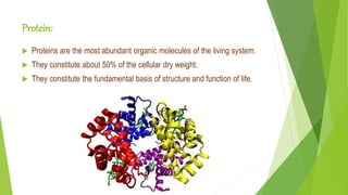 Protein:
 Proteins are the most abundant organic molecules of the living system.
 They constitute about 50% of the cellular dry weight.
 They constitute the fundamental basis of structure and function of life.
 