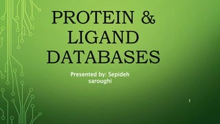 PROTEIN &
LIGAND
DATABASES
1
Presented by: Sepideh
saroughi
 