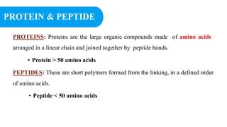 Protein and Peptide.pptx
