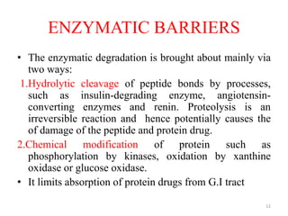 ENZYMATIC BARRIERS
• The enzymatic degradation is brought about mainly via
two ways:
1.Hydrolytic cleavage of peptide bonds by processes,
such as insulin-degrading enzyme, angiotensin-
converting enzymes and renin. Proteolysis is an
irreversible reaction and hence potentially causes the
of damage of the peptide and protein drug.
2.Chemical modification of protein such as
phosphorylation by kinases, oxidation by xanthine
oxidase or glucose oxidase.
• It limits absorption of protein drugs from G.I tract
12
 