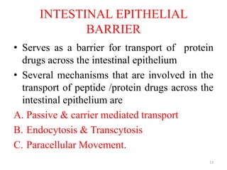 INTESTINAL EPITHELIAL
BARRIER
• Serves as a barrier for transport of protein
drugs across the intestinal epithelium
• Several mechanisms that are involved in the
transport of peptide /protein drugs across the
intestinal epithelium are
A. Passive & carrier mediated transport
B. Endocytosis & Transcytosis
C. Paracellular Movement.
13
 