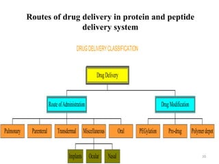 DRUGDELIVERYCLASSIFICATION
Pulmonary Parenteral Transdermal
Implants Ocular Nasal
Miscellaneous Oral
RouteofAdministration
PEGylation Pro-drug Polymerdepot
DrugModification
DrugDelivery
Routes of drug delivery in protein and peptide
delivery system
20
 