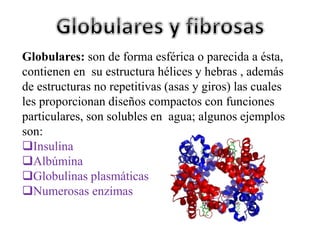 Proteínas fibrosas: son de forma alargada, su
armazón es una repetición de elementos de estructura
secundaria (hélices y h...