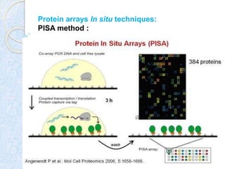 Protein array, protein chip by kk sahu sir | PPTX | Genetics | Science