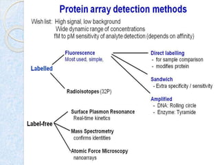 Protein array, protein chip by kk sahu sir | PPTX | Genetics | Science