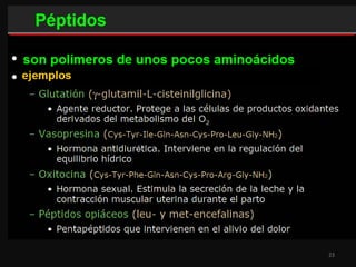 Proteinas