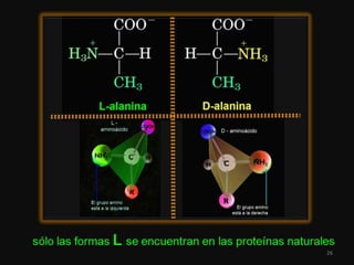 Proteinas