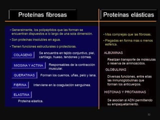 Proteinas