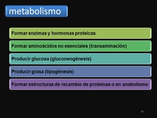 Proteinas