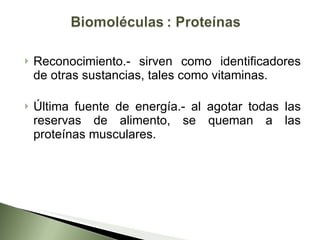 Reconocimiento.- sirven como identificadores de otras sustancias, tales como vitaminas. Última fuente de energía.- al agotar todas las reservas de alimento, se queman a las proteínas musculares. 