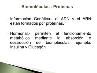 Información Genética.- el ADN y el ARN están formados por proteínas. Hormonal.- permiten el funcionamiento metabólico mediante la absorción o destrucción de biomoléculas, ejemplo: Insulina y Glucagón. 