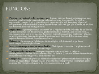  Plástica, estructural o de construcción: forman parte de las estructuras corporales,
suministran el material necesario para el crecimiento y la reparación de tejidos y
órganos del cuerpo. P. ej. la queratina está presente en la piel, las uñas y el pelo; el
colágeno está presente en los huesos, los tendones y el cartílago, y la elastina, se localiza
fundamentalmente en los ligamentos.
 Reguladora: algunas proteínas colaboran en la regulación de la actividad de las células.
Ciertas hormonas son de naturaleza proteica (insulina, hormona del crecimiento...),
muchas enzimas son proteínas que favorecen múltiples reacciones orgánicas y algunos
neurotransmisores tienen estructura de aminoácido o derivan de los aminoácidos y
regulan la transmisión de impulsos nerviosos.
 Defensiva: forman parte del sistema inmunológico o defensas del organismo
(anticuerpos, inmunoglobulinas...).
 Intervienen en procesos de coagulación: fibrinógeno, trombina.... impiden que al
dañarse un vaso sanguíneo se pierda sangre.
 Transporte de sustancias: transportan grasas (apoproteínas), el oxígeno
(hemoglobina), también facilitan la entrada a las células (transportadores de membrana)
de sustancias como la glucosa, aminoácidos, etc.
 Energética: cuando el aporte de hidratos de carbono y grasas resulta insuficiente para
cubrir las necesidades energéticas, los aminoácidos de las proteínas se emplean como
combustible energético (1 gramo de proteína suministra 4 Kcal).
 