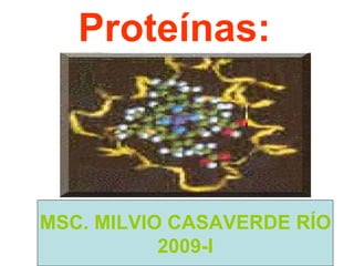Proteínas:  MSC. MILVIO CASAVERDE RÍO 2009-I 