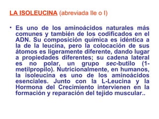 <ul><li>LA ISOLEUCINA   (abreviada Ile o I) </li></ul><ul><li>E s uno de los  aminoácidos  naturales más comunes y también...