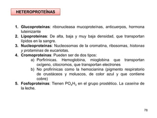 HETEROPROTEÍNAS

1. Glucoproteínas: ribonucleasa mucoproteínas, anticuerpos, hormona
luteinizante
2. Lipoproteínas: De alt...
