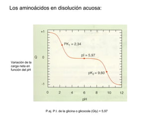 Los aminoácidos en disolución acuosa: Variación de la carga neta en función del pH P.ej. P.I. de la glicina o glicocola (G...