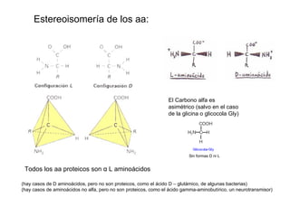 Estereoisomería de los aa: El Carbono alfa es asimétrico (salvo en el caso de la glicina o glicocola Gly) Sin formas D ni ...