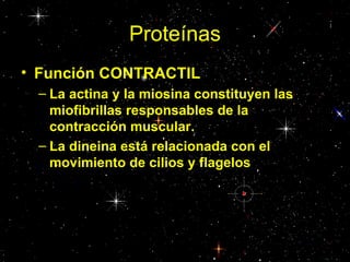 Proteínas
• Función CONTRACTIL
 – La actina y la miosina constituyen las
   miofibrillas responsables de la
   contracción muscular.
 – La dineina está relacionada con el
   movimiento de cilios y flagelos
 