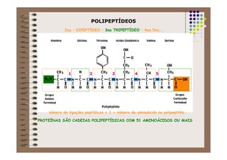 POLIPEPTPOLIPEPTÍÍDEOSDEOS
321 54
número de ligações peptídicas + 1 = número de aminoácido no polipeptídio
PROTEÍNAS SÃO CADEIAS POLIPEPTÍDICAS COM 51 AMINOÁCIDOS OU MAIS
2aa – DIPEPTÍDEO – 3aa TRIPEPTÍDEO – 4aa,5aa..
 