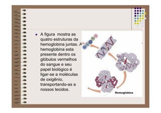 A figura mostra as
quatro estruturas da
hemoglobina juntas. A
hemoglobina esta
presente dentro os
glóbulos vermelhos
do sangue e seu
papel biológico é
ligar-se a moléculas
de oxigênio,
transportando-as a
nossos tecidos.
 
