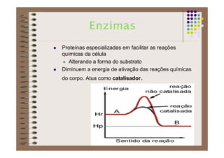 Proteínas especializadas em facilitar as reações
químicas da célula
Alterando a forma do substrato
Diminuem a energia de ativação das reações químicas
do corpo. Atua como catalisador.
 