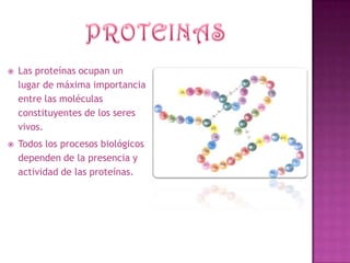  Las proteínas ocupan un
lugar de máxima importancia
entre las moléculas
constituyentes de los seres
vivos.
 Todos los procesos biológicos
dependen de la presencia y
actividad de las proteínas.
 