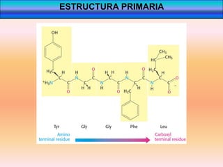 ESTRUCTURA PRIMARIA
 