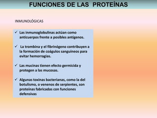  Las inmunoglobulinas actúan como
anticuerpos frente a posibles antígenos.
 La trombina y el fibrinógeno contribuyen a
la formación de coágulos sanguíneos para
evitar hemorragias.
 Las mucinas tienen efecto germicida y
protegen a las mucosas.
 Algunas toxinas bacterianas, como la del
botulismo, o venenos de serpientes, son
proteínas fabricadas con funciones
defensivas
INMUNOLÓGICAS
 