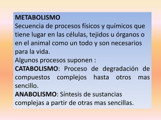 METABOLISMO
Secuencia de procesos físicos y químicos que
tiene lugar en las células, tejidos u órganos o
en el animal como un todo y son necesarios
para la vida.
Algunos procesos suponen :
CATABOLISMO: Proceso de degradación de
compuestos complejos hasta otros mas
sencillo.
ANABOLISMO: Síntesis de sustancias
complejas a partir de otras mas sencillas.
 