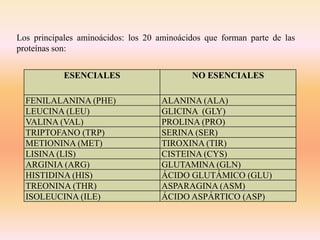 ESENCIALES NO ESENCIALES
FENILALANINA (PHE) ALANINA (ALA)
LEUCINA (LEU) GLICINA (GLY)
VALINA (VAL) PROLINA (PRO)
TRIPTOFANO (TRP) SERINA (SER)
METIONINA (MET) TIROXINA (TIR)
LISINA (LIS) CISTEINA (CYS)
ARGINIA (ARG) GLUTAMINA (GLN)
HISTIDINA (HIS) ÁCIDO GLUTÁMICO (GLU)
TREONINA (THR) ASPARAGINA (ASM)
ISOLEUCINA (ILE) ÁCIDO ASPÁRTICO (ASP)
Los principales aminoácidos: los 20 aminoácidos que forman parte de las
proteínas son:
 