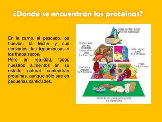 ¿Donde se encuentran las proteínas?
En la carne, el pescado, los
huevos, la leche y sus
derivados, las leguminosas y
los frutos secos.
Pero en realidad, todos
nuestros alimentos en su
estado natural contendrán
proteínas, aunque sólo sea en
pequeñas cantidades.
 