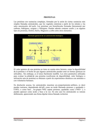 PROTEINAS Página 2
PROTEINAS
Las proteínas son sustancias complejas, formadas por la unión de ciertas sustancias más
simples llamadas aminoácidos, que los vegetales sintetizan a partir de los nitratos y las
sales amoniacales del suelo. Las proteínas son biomóleculas formadas básicamente por
carbono, hidrógeno, oxígeno y Nitrógeno. Pueden además contener azufre y en algunos
tipos de proteínas, fósforo, hierro, Magnesio y cobre entre otros elementos.
.
El valor químico de una proteína no tiene en cuenta otros factores, como la digestibilidad
de la proteína o el hecho de que algunos aminoácidos pueden estar en formas químicas no
utilizables.. Sin embargo, es el único fácilmente medible. Los otros parámetros utilizados
para evaluar la calidad de una proteína (coeficiente de digestibilidad, valor biológico o
utilización neta de proteína) se obtienen a partir de experimentos dietéticos con animales o
con voluntarios humanos.
En disolución acuosa, los aminoácidos muestran un comportamiento anfótero, es decir
pueden ionizarse, dependiendo del pH, como un ácido liberando protones y quedando (-
COO'), o como base , los grupos -NH2 captan protones, quedando como (-NH3+ ), o
pueden aparecer como ácido y base a la vez. En este caso los aminoácidos se ionizan
doblemente, apareciendo una forma dipolar iónica llamada zwitterion
 