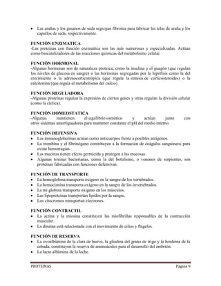 PROTEINAS Página 9
Las arañas y los gusanos de seda segregan fibroina para fabricar las telas de araña y los
capullos de seda, respectivamente.
FUNCIÓN ENZIMATICA
-Las proteínas con función enzimática son las más numerosas y especializadas. Actúan
como biocatalizadores de las reacciones químicas del metabolismo celular.
FUNCIÓN HORMONAL
-Algunas hormonas son de naturaleza proteica, como la insulina y el guagón (que regulan
los niveles de glucosa en sangre) o las hormonas segregadas por la hipófisis como la del
crecimiento o la adrenocorticotrópica (que regula la síntesis de corticosteroides) o la
calcitonina (que regula el metabolismo del calcio)
FUNCIÓN REGULADORA
-Algunas proteínas regulan la expresión de ciertos genes y otras regulan la división celular
(como la cíclica).
FUNCIÓN HOMEOSTATICA
-Algunas mantienen el equilibrio osmótico y actúan junto con
otros sistemas amortiguadores para mantener constante el pH del medio interno.
FUNCIÓN DEFENSIVA
Las inmunoglobulinas actúan como anticuerpos frente a posibles antígenos.
La trombina y el fibrinógeno contribuyen a la formación de coágulos sanguíneos para
evitar hemorragias.
Las mucinas tienen efecto germicida y protegen a las mucosas.
Algunas toxinas bacterianas, como la del botulismo, o venenos de serpientes, son
proteínas fabricadas con funciones defensivas.
FUNCIÓN DE TRANSPORTE
La hemoglobina transporta oxígeno en la sangre de los vertebrados.
La hemocianina transporta oxígeno en la sangre de los invertebrados.
La mi globina transporta oxígeno en los músculos.
Las lipoproteínas transportan lípidos por la sangre.
Los citocromos transportan electrones.
FUNCIÓN CONTRACTIL
La actina y la miosina constituyen las miofibrillas responsables de la contracción
muscular.
La dineina está relacionada con el movimiento de cilios y flagelos.
FUNCIÓN DE RESERVA
La ovoalbúmina de la clara de huevo, la gliadina del grano de trigo y la hordeina de la
cebada, constituyen la reserva de aminoácidos para el desarrollo del embrión.
La lacto albúmina de la leche.
 