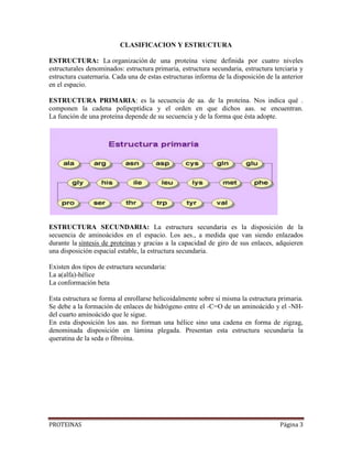 PROTEINAS Página 3
CLASIFICACION Y ESTRUCTURA
ESTRUCTURA: La organización de una proteína viene definida por cuatro niveles
estructurales denominados: estructura primaria, estructura secundaria, estructura terciaria y
estructura cuaternaria. Cada una de estas estructuras informa de la disposición de la anterior
en el espacio.
ESTRUCTURA PRIMARIA: es la secuencia de aa. de la proteína. Nos indica qué .
componen la cadena polipeptídica y el orden en que dichos aas. se encuentran.
La función de una proteína depende de su secuencia y de la forma que ésta adopte.
ESTRUCTURA SECUNDARIA: La estructura secundaria es la disposición de la
secuencia de aminoácidos en el espacio. Los aes., a medida que van siendo enlazados
durante la síntesis de proteínas y gracias a la capacidad de giro de sus enlaces, adquieren
una disposición espacial estable, la estructura secundaria.
Existen dos tipos de estructura secundaria:
La a(alfa)-hélice
La conformación beta
Esta estructura se forma al enrollarse helicoidalmente sobre sí misma la estructura primaria.
Se debe a la formación de enlaces de hidrógeno entre el -C=O de un aminoácido y el -NH-
del cuarto aminoácido que le sigue.
En esta disposición los aas. no forman una hélice sino una cadena en forma de zigzag,
denominada disposición en lámina plegada. Presentan esta estructura secundaria la
queratina de la seda o fibroína.
 