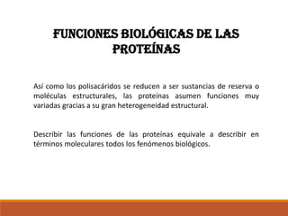Funciones biológicas de las
proteínas
Así como los polisacáridos se reducen a ser sustancias de reserva o
moléculas estructurales, las proteínas asumen funciones muy
variadas gracias a su gran heterogeneidad estructural.

Describir las funciones de las proteínas equivale a describir en
términos moleculares todos los fenómenos biológicos.

 