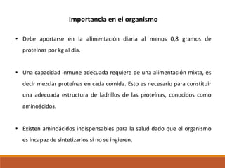 Importancia en el organismo
• Debe aportarse en la alimentación diaria al menos 0,8 gramos de
proteínas por kg al día.
• Una capacidad inmune adecuada requiere de una alimentación mixta, es
decir mezclar proteínas en cada comida. Esto es necesario para constituir

una adecuada estructura de ladrillos de las proteínas, conocidos como
aminoácidos.
• Existen aminoácidos indispensables para la salud dado que el organismo
es incapaz de sintetizarlos si no se ingieren.

 