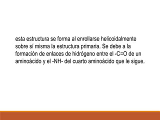 esta estructura se forma al enrollarse helicoidalmente
sobre sí misma la estructura primaria. Se debe a la
formación de enlaces de hidrógeno entre el -C=O de un
aminoácido y el -NH- del cuarto aminoácido que le sigue.

 