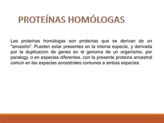 Las proteínas homólogas son proteínas que se derivan de un
"ancestro". Pueden estar presentes en la misma especie, y derivada
por la duplicación de genes en el genoma de un organismo, por
paralogy, o en especies diferentes, con la presente proteína ancestral
común en las especies ancestrales comunes a ambas especies

 