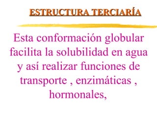 ESTRUCTURA TERCIARÍA

Esta conformación globular
facilita la solubilidad en agua
y así realizar funciones de
transporte , enzimáticas ,
hormonales,

 