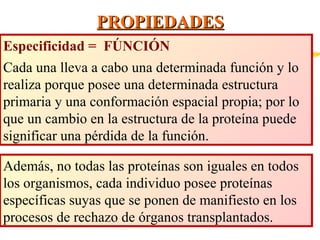 PROPIEDADES
Especificidad = FÚNCIÓN
Cada una lleva a cabo una determinada función y lo
realiza porque posee una determinada estructura
primaria y una conformación espacial propia; por lo
que un cambio en la estructura de la proteína puede
significar una pérdida de la función.
Además, no todas las proteínas son iguales en todos
los organismos, cada individuo posee proteínas
específicas suyas que se ponen de manifiesto en los
procesos de rechazo de órganos transplantados.

 