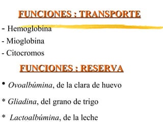 FUNCIONES : TRANSPORTE

- Hemoglobina
- Mioglobina
- Citocromos

FUNCIONES : RESERVA

• Ovoalbúmina, de la clara de huevo
* Gliadina, del grano de trigo
* Lactoalbúmina, de la leche

 