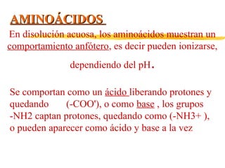 AMINOÁCIDOS
En disolución acuosa, los aminoácidos muestran un
comportamiento anfótero, es decir pueden ionizarse,
dependiendo del pH

.

Se comportan como un ácido liberando protones y
quedando
(-COO'), o como base , los grupos
-NH2 captan protones, quedando como (-NH3+ ),
o pueden aparecer como ácido y base a la vez

 